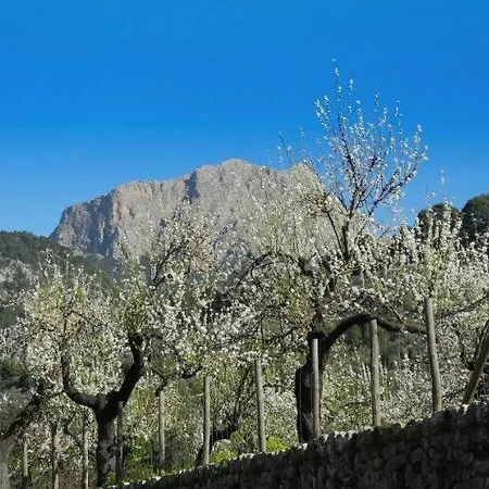 Casa Bougainvillea Soller