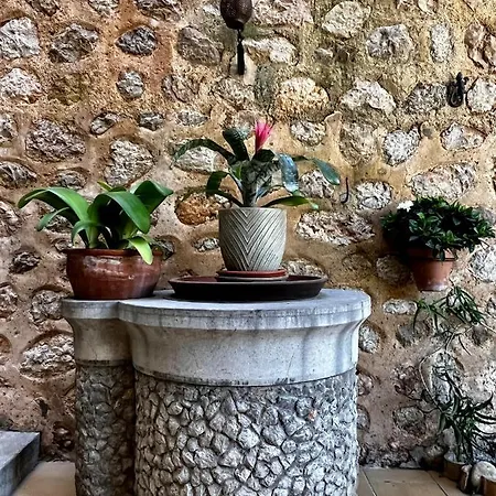 Hotel Casa Bougainvillea