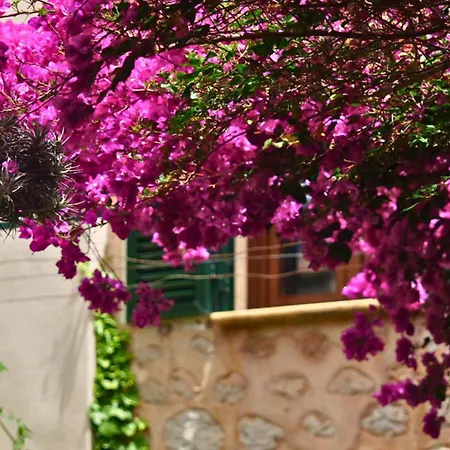 Casa Bougainvillea Ξενοδοχείο 3*